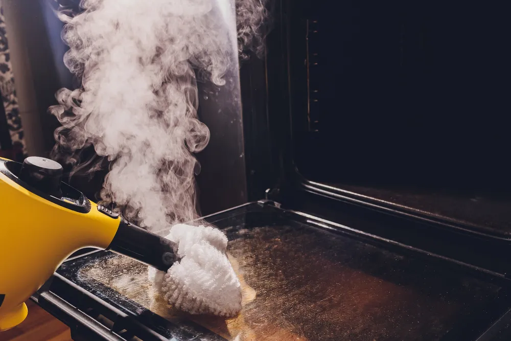 steam-cleaningovenhouse-cleaning-hand-closeup Wohnungsreinigung Regensburg
